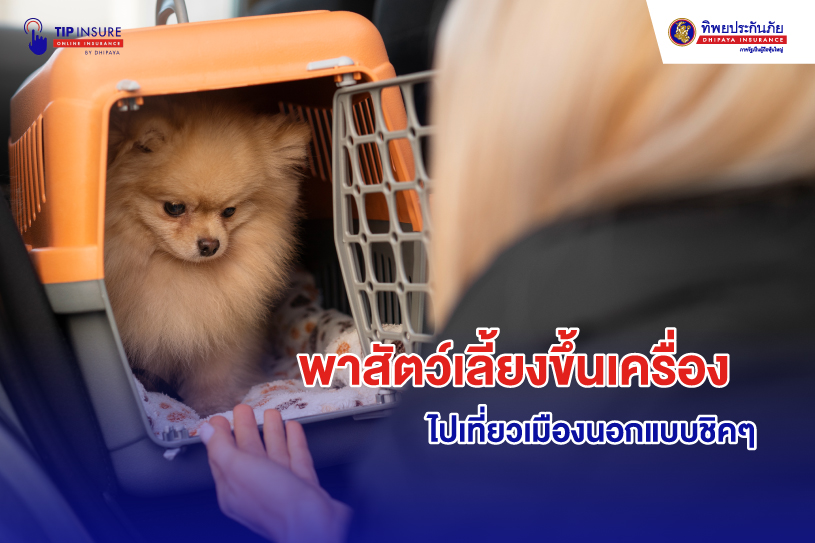 พาสัตว์เลี้ยงขึ้นเครื่อง ไปเที่ยวเมืองนอกแบบชิคๆ