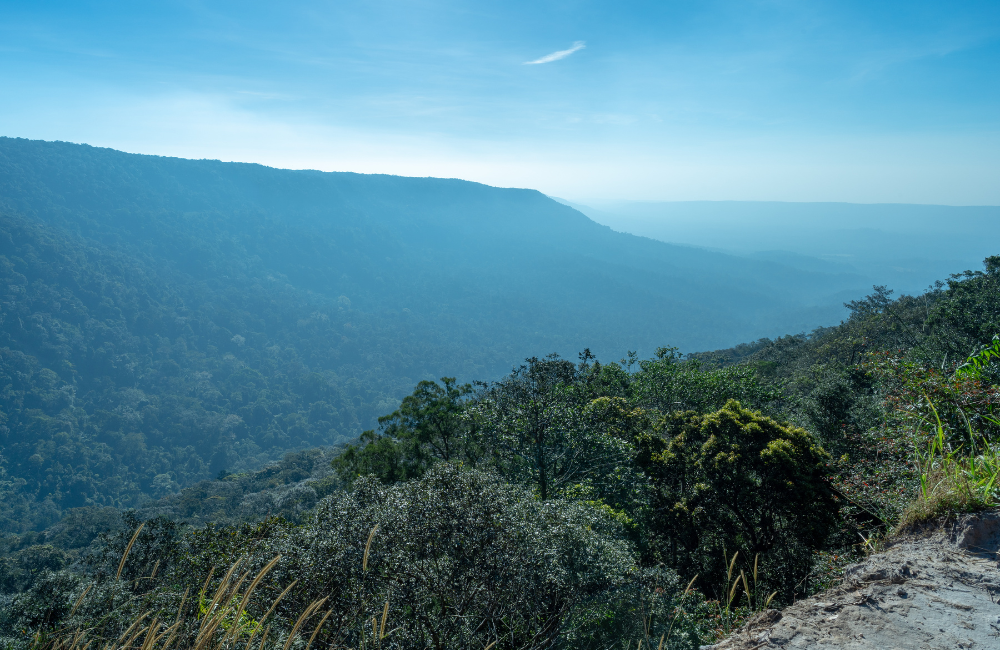 อุทยานแห่งชาติเขาใหญ่