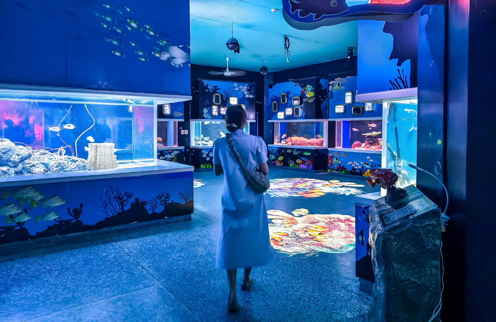 สรุปเกี่ยวกับอควาเรียม บางแสน