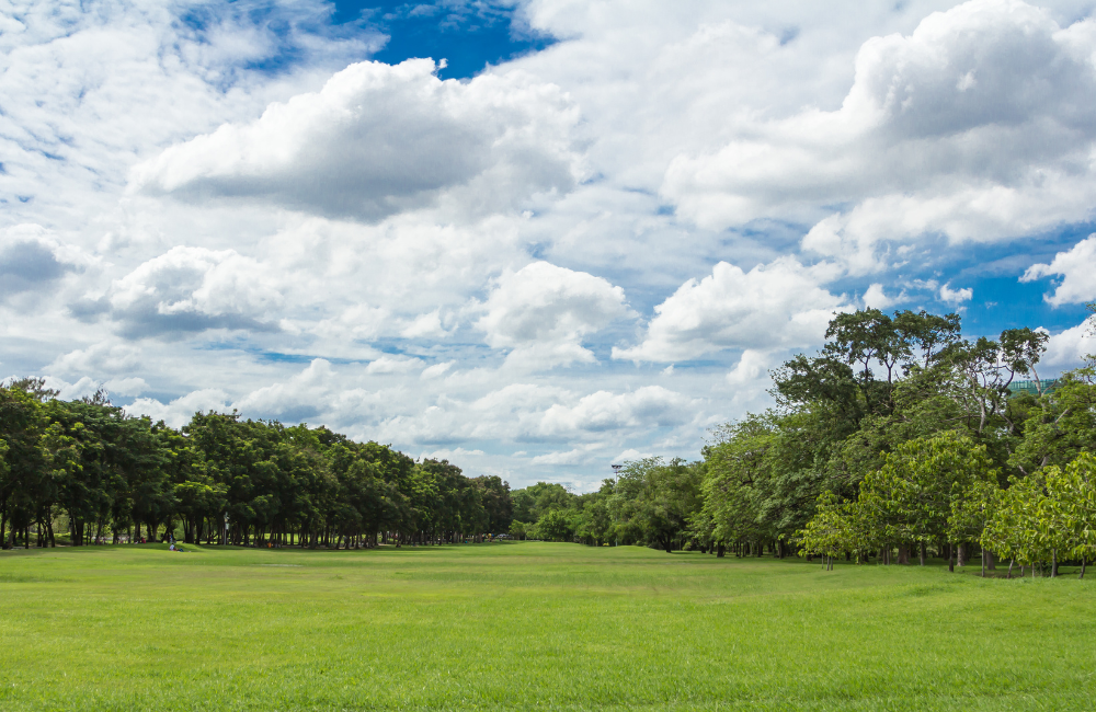 สวนสาธารณะในกรุงเทพ สวนวชิรเบญจทัศ
