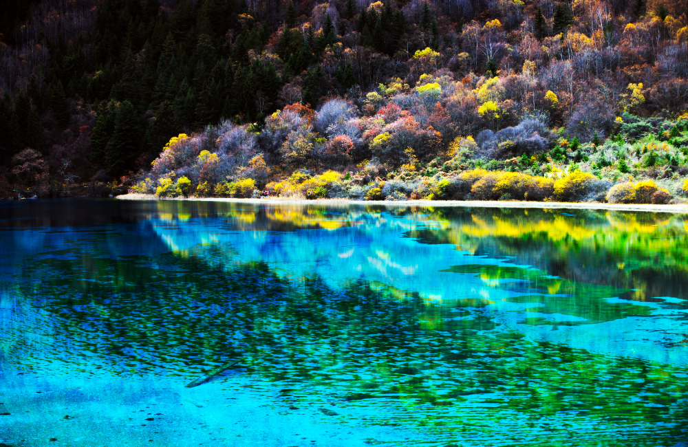 สรุปเกี่ยวกับจิ่วจ้ายโกว