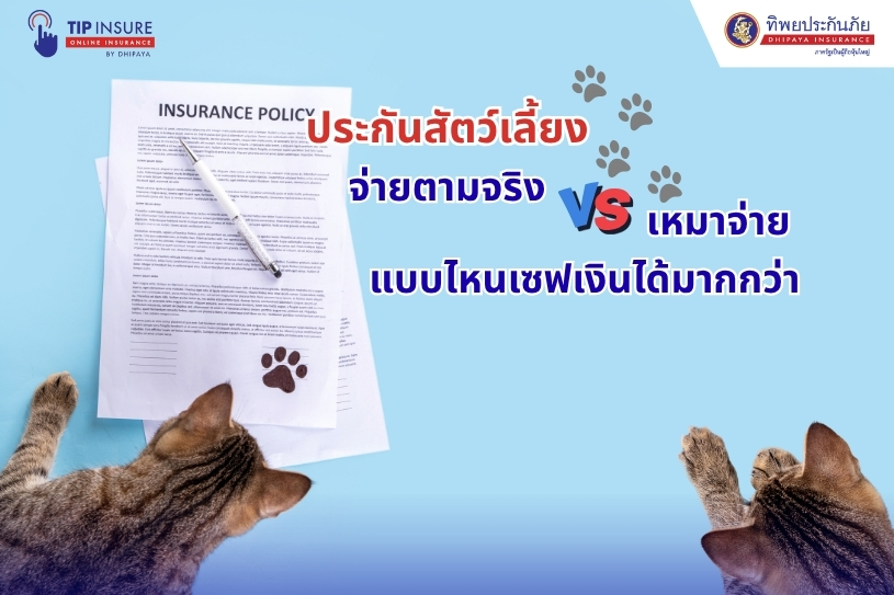 ประกันสัตว์เลี้ยง จ่ายตามจริง vs เหมาจ่าย แบบไหนเซฟเงินได้มากกว่า